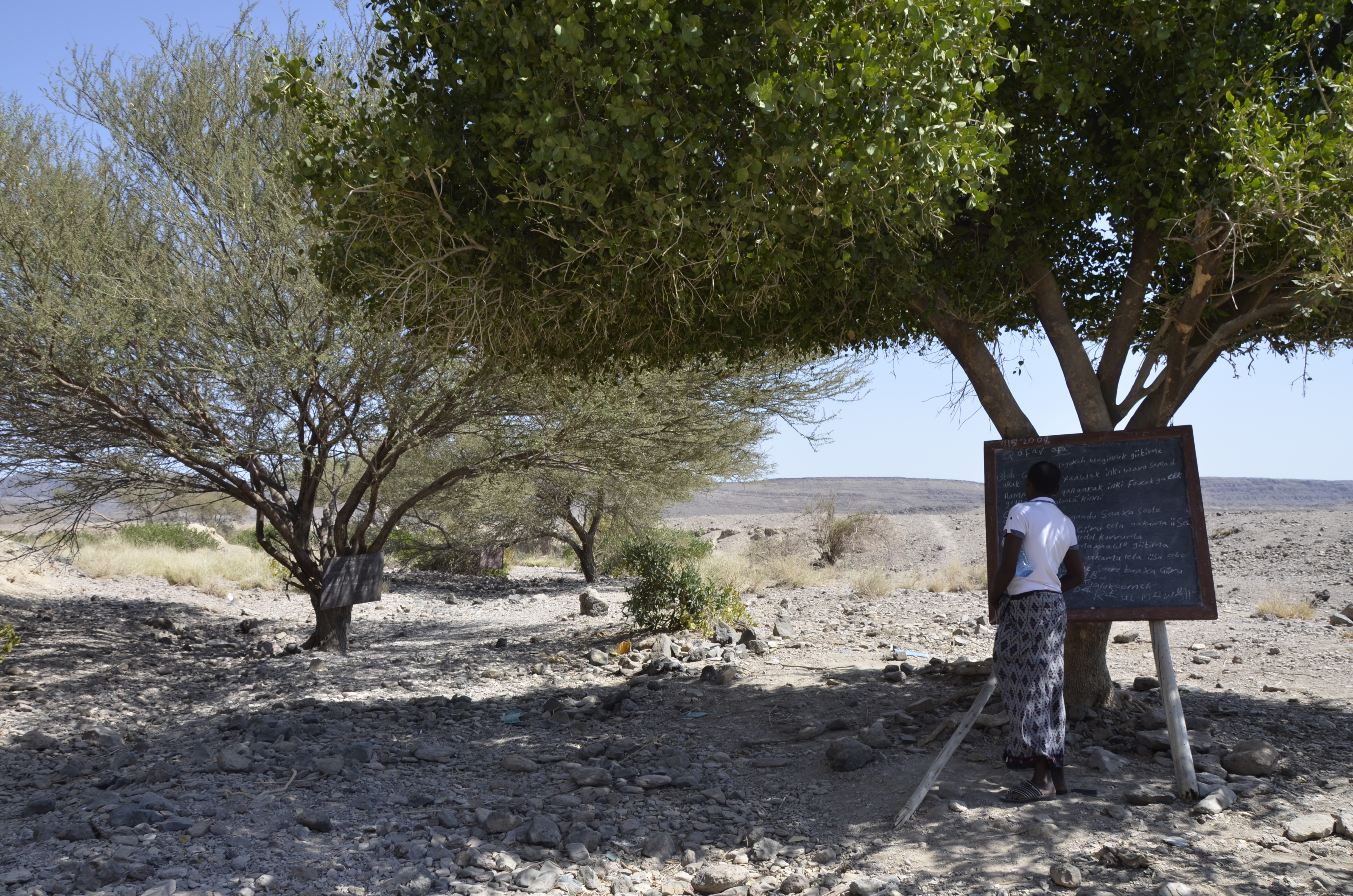 Drei Bäume, drei Tafeln, drei Klassen: eine Schule in Maska (Region Afar) in Äthiopien. Es mag schlicht erscheinen, doch die Zukunftschancen, die sich allein aus der Fähigkeit des Lesens und Schreibens für die Jugendlichen und Kinder auftun, sind enorm. Darauf hoffen auch ihre Eltern.