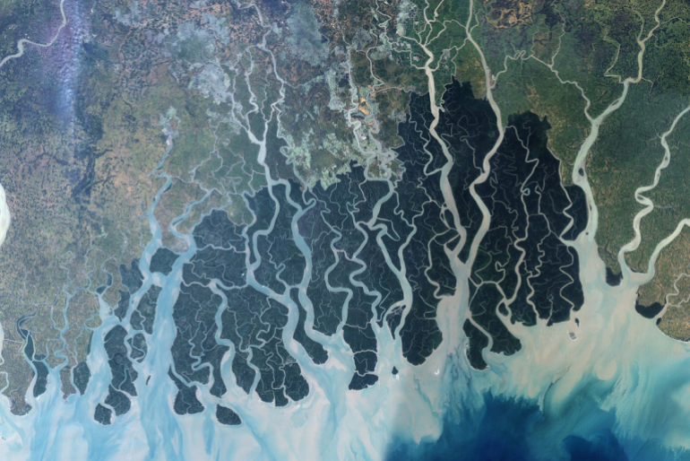 Auf dem Satellitenbild ist der Mangrovenwald der Sundarbans tiefgrün zu sehen.